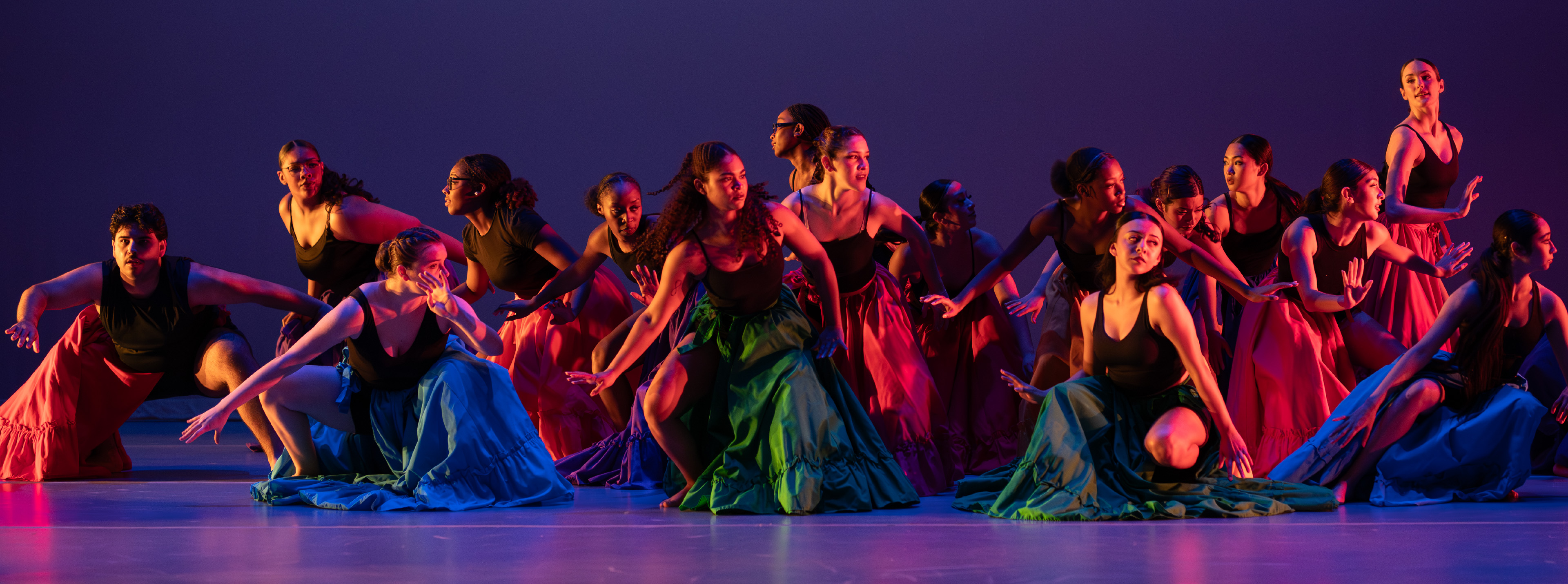 b1920xPalmetto header_s26.jpg