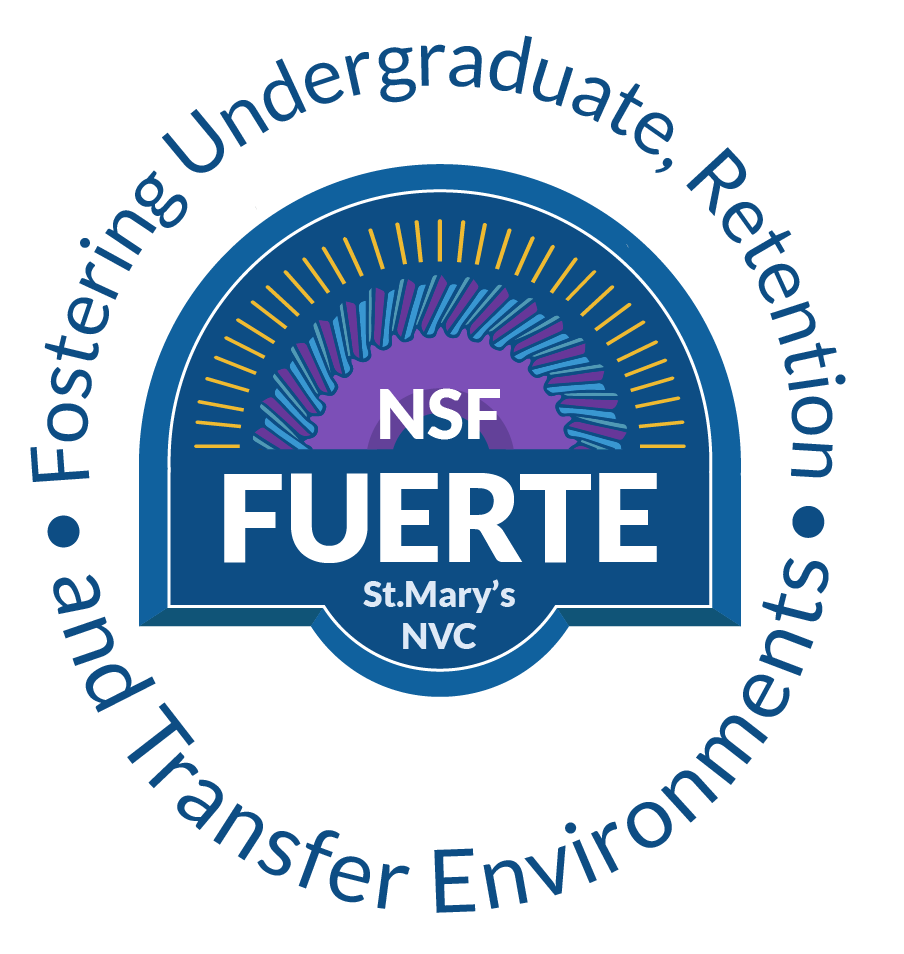 토토사이트 그래픽 - Color2.png