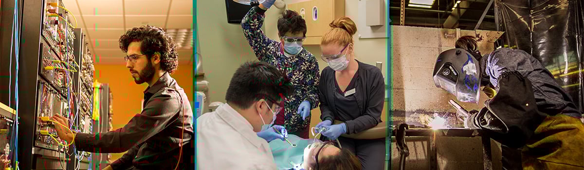 학생들의 콜라주: IT 네트워크 학생, 치과 학생, 용접 학생