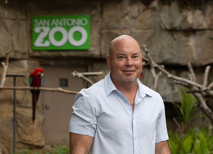 팀 모로우 웹 그래픽