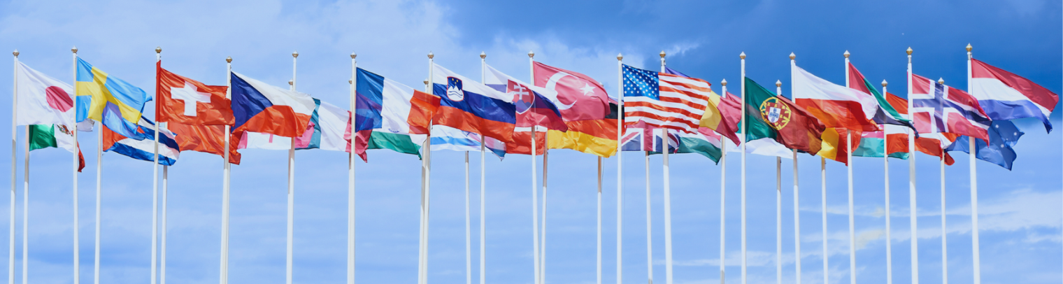헤더 국제 .png