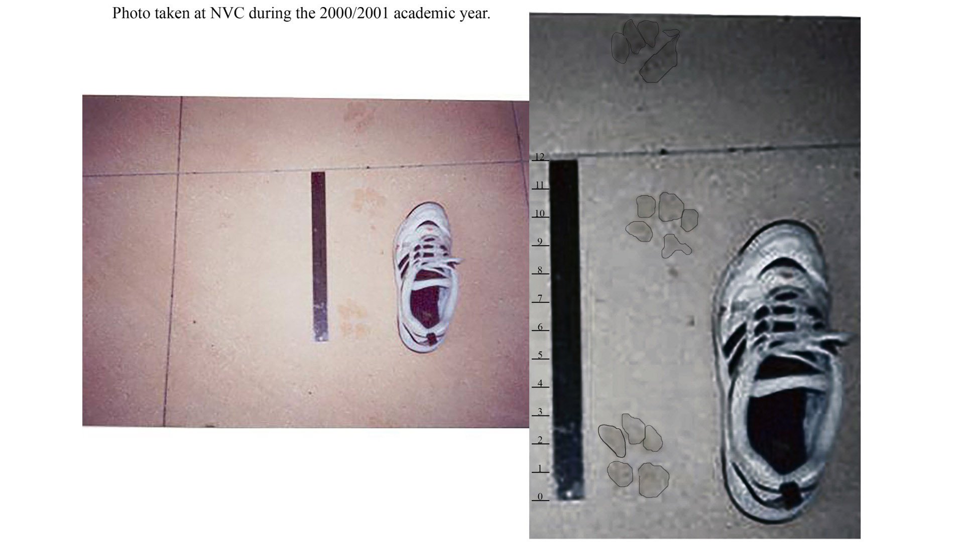 토토사이트 순위에서 발견된 발자국 사진