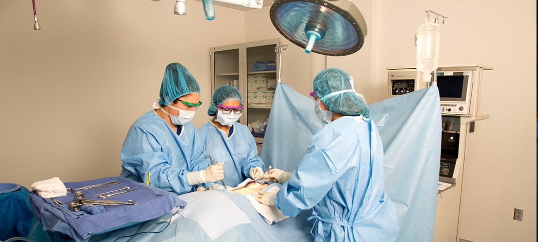 카지노 토토 기술