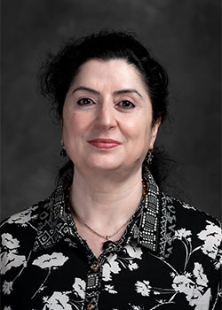 고스와미, 기타