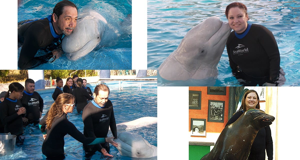 SeaWorld의 토토사이트 추천 파트너십