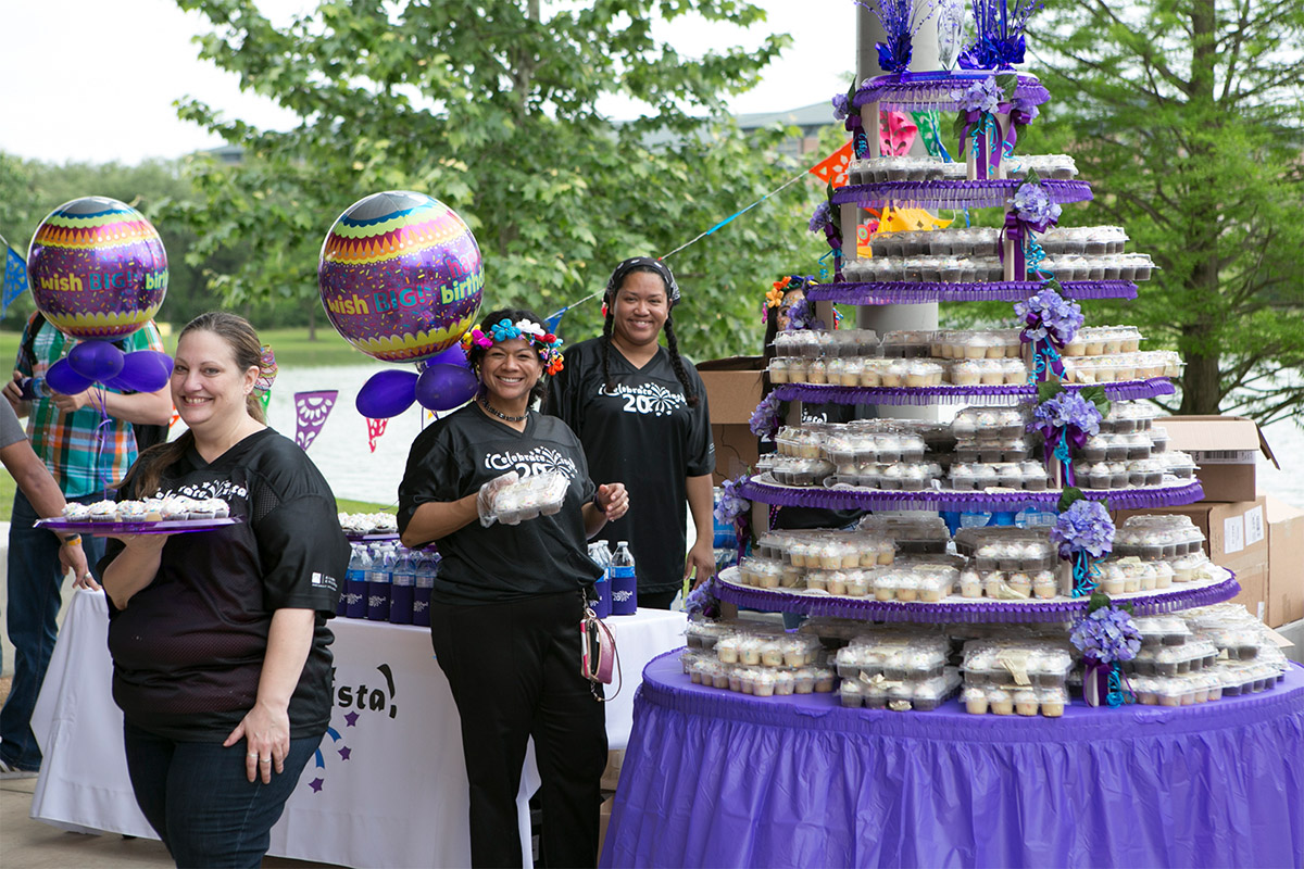 사진 - 비바 라 비스타 2015