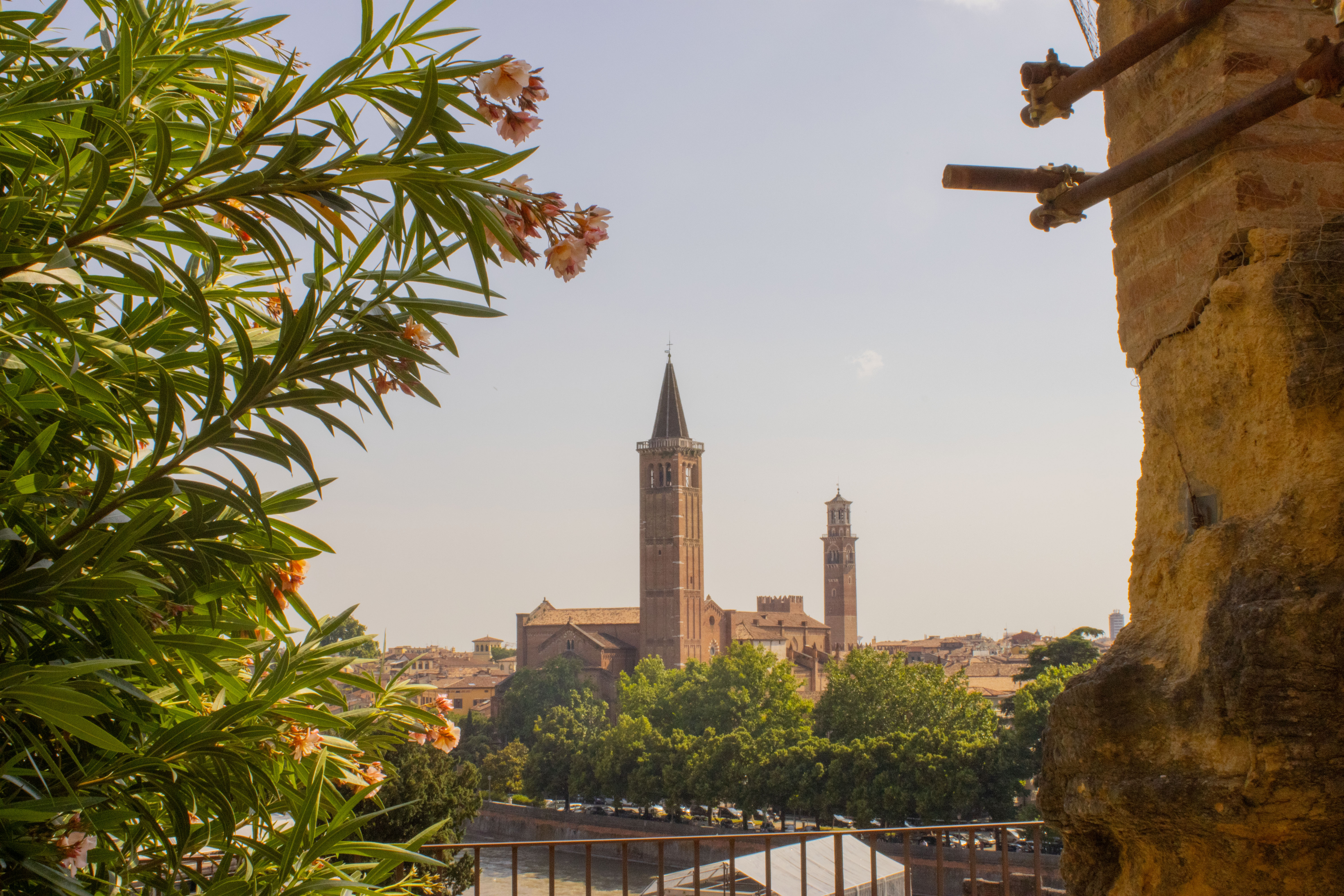 알리사 모건 PLACES cstegory.jpg