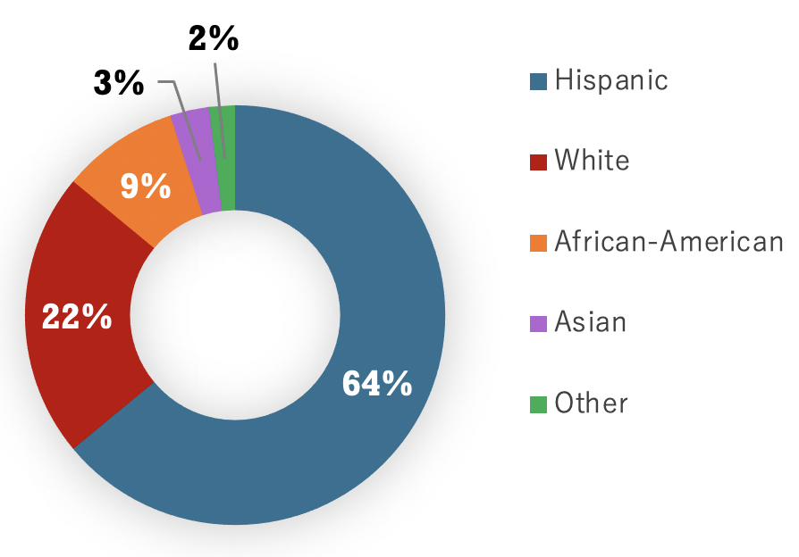 Stud-Ethnicity.png
