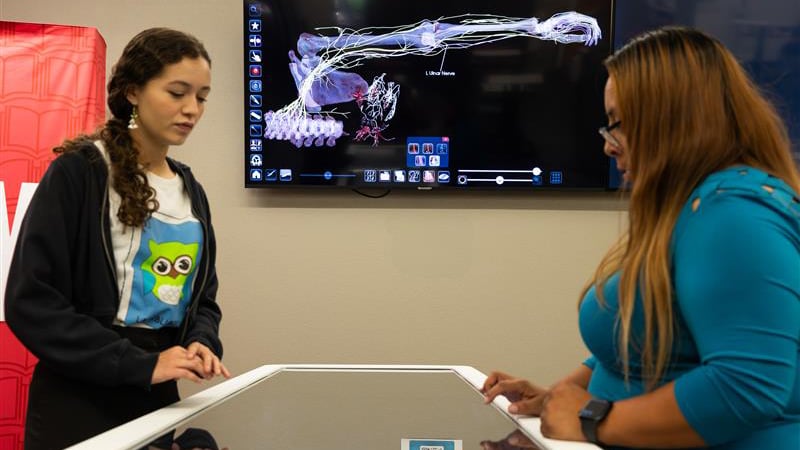 한국 토토사이트에 대한 완전한 가이드는 다음과 같습니다.