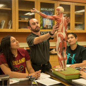 한국 토토사이트에 대한 완전한 가이드는 다음과 같습니다.