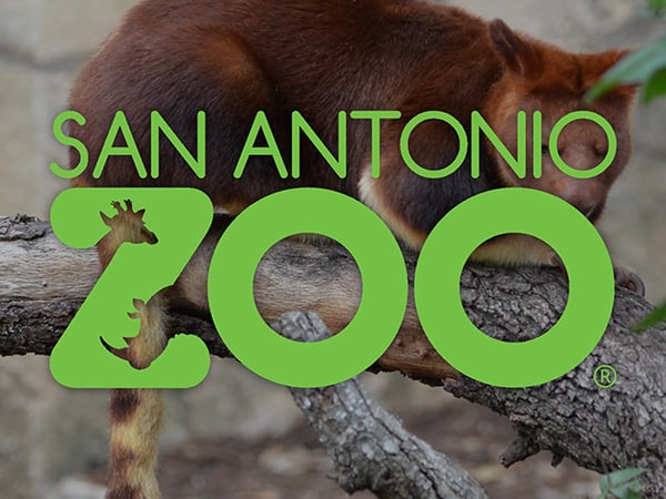 Zoo-Image600x450.jpg