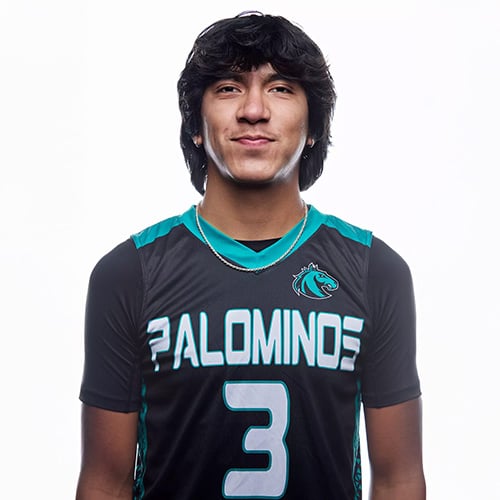 n Wilbank Sports HS 500X.jpg