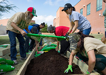 한국 토토사이트에 대한 완전한 가이드는 다음과 같습니다.