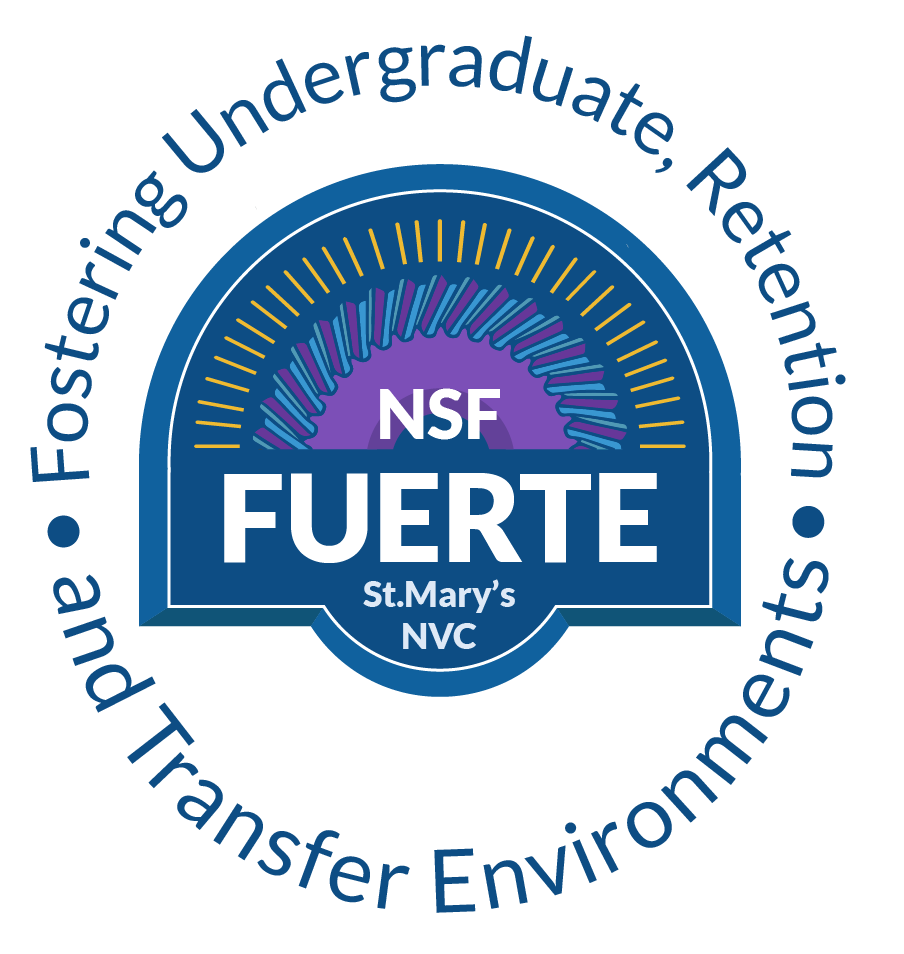 와이즈 토토 Graphic -Color2.png