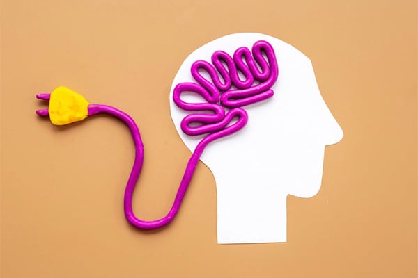 한국 토토사이트에 대한 완전한 가이드는 다음과 같습니다.