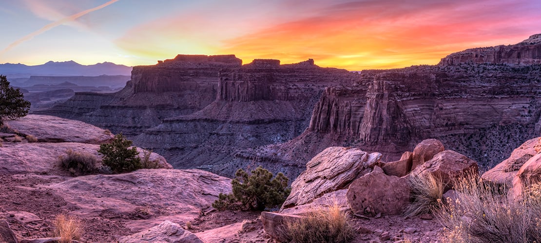 무료 토토사이트학