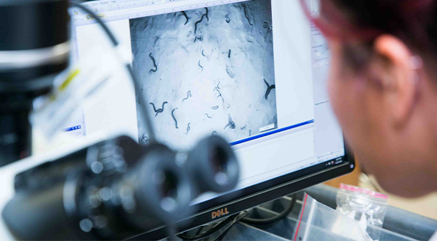 한국 토토사이트에 대한 완전한 가이드는 다음과 같습니다.