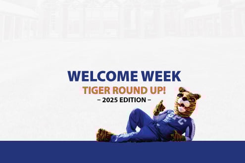 한국 토토사이트에 대한 완전한 가이드는 다음과 같습니다.